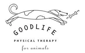 Good Life Physical Therapy for animals